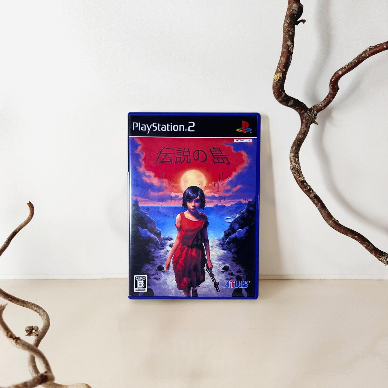 Lost gaming memories